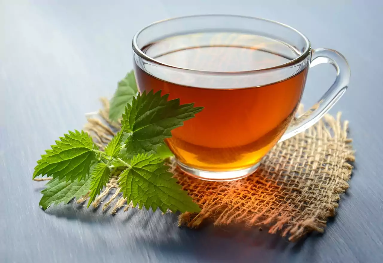 ग्रीन टी कधी प्यावी, कशी बनवायची व ग्रीन टी चे फायदे । Green tea benefits in marathi