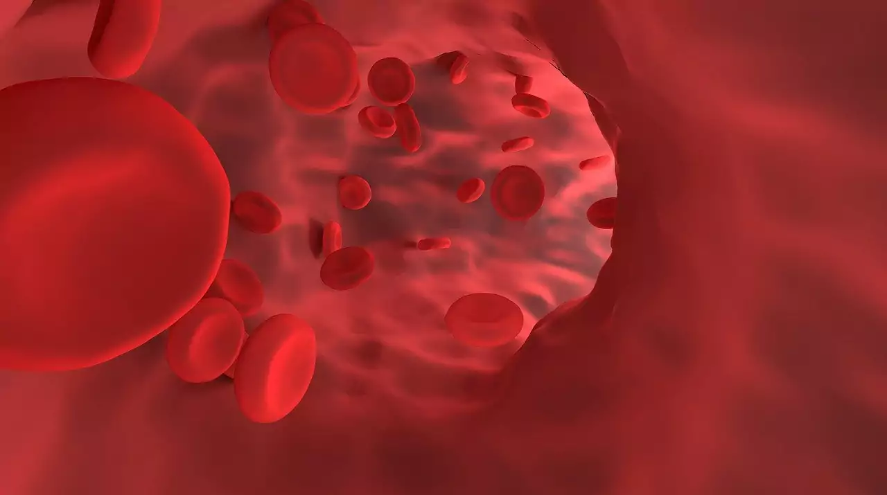 रक्त हिमोग्लोबिन वाढवण्यासाठी घरगुती उपाय | how to increase hemoglobin in marathi